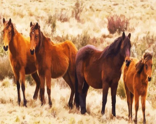 Brumbies Brown Flock paint by numbers