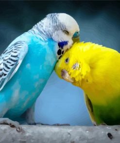 Budgerigar Lovers paint by numbers