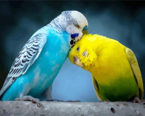 Budgerigar Lovers paint by numbers