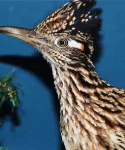 Chaparral Roadrunner Head paint by numbers