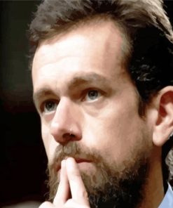 Ceo of Twitter Jack Patrick Dorsey paint by numbers