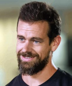 Co Founder of Twitter Jack Dorsey paint by numbers