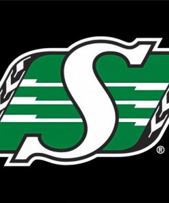 Cool Saskatchewan Roughriders Logo paint by numbers