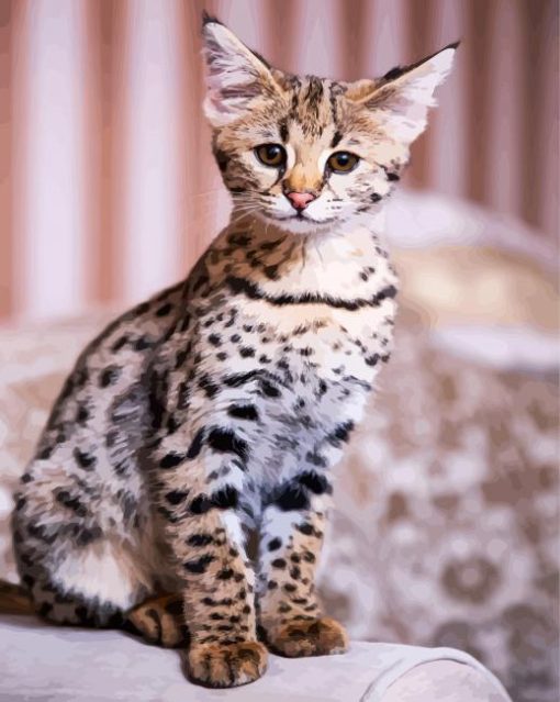 Cute Savannah Cat Animal paint by numbers