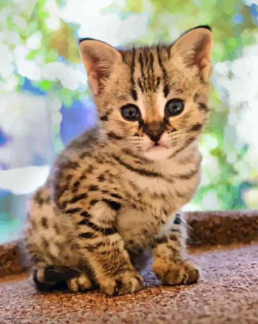 Cute Savannah Kitten paint by numbers