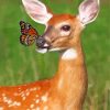 Doe and Monarch Butterfly paint by numbers