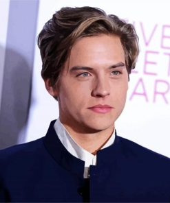 Dylan Sprouse paint by numbers