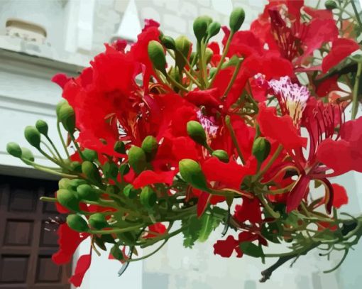 Flamboyan Plant paint by numbers