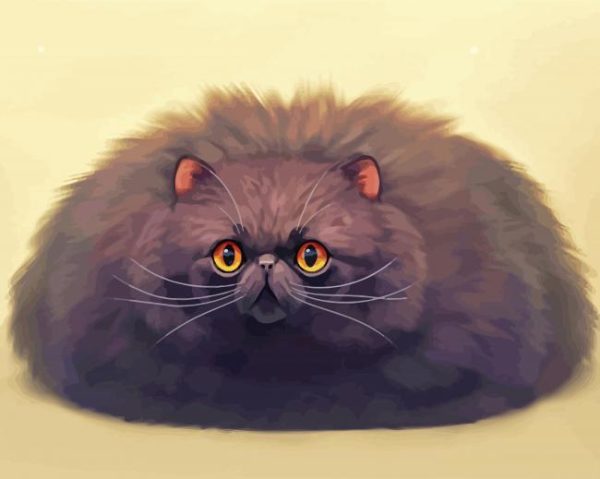 Fluffy Black Cat paint by numbers