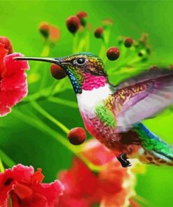 Flying Hummingbird paint by numbers