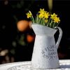 Grey Jug and Wild Daffodils paint by numbers