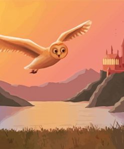 Hedwig Hogwarts paint by numbers