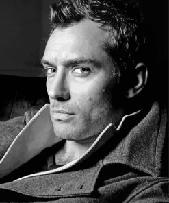 Jude Law Actor in Black And White paint by numbers