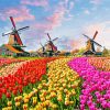 Keukenhof Netherlands paint by numbers