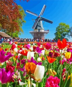 Keukenhof Garden paint by numbers