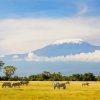 Kilimanjaro Tanzania paint by numbers