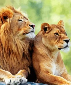 Lion and Lioness paint by numbers