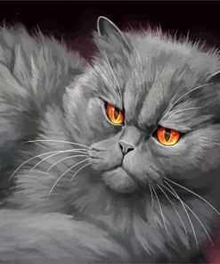 Mad Grey Cat paint by numbers