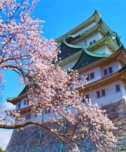 Nagoya Castle paint by numbers