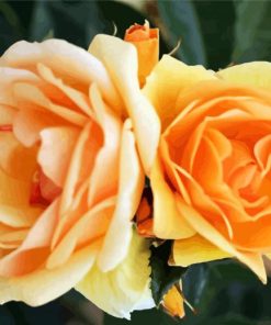 Orange Floribundas Flower paint by numbers