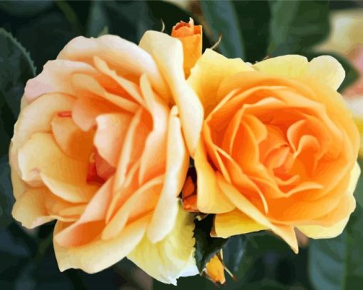 Orange Floribundas Flower paint by numbers