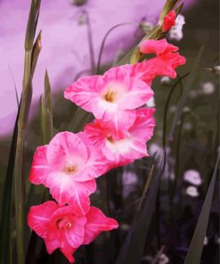 Pink Gladiolas Flowers paint by numbers