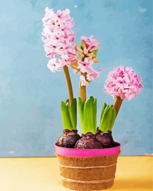 Pink Hyacinth paint by numbers