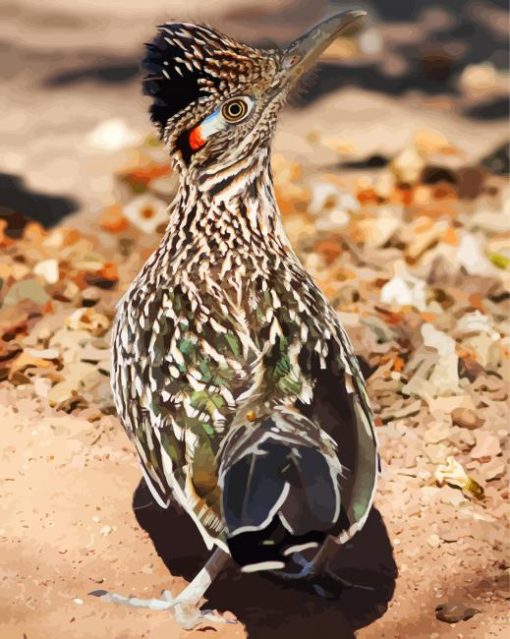 Road Runner paint by numbers