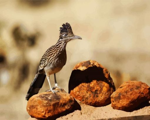 Roadrunner Bird paint by numbers