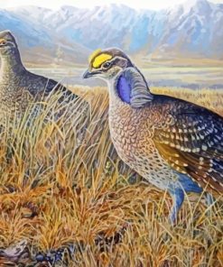 Sharp Tailed Grouse Birds paint by numbers