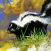 Skunk Animal paint by numbers