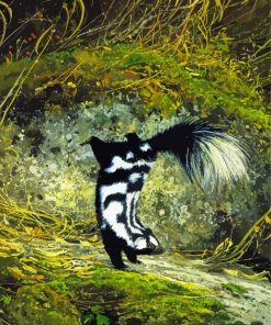 Skunk paint by numbers