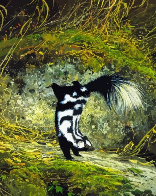 Skunk paint by numbers