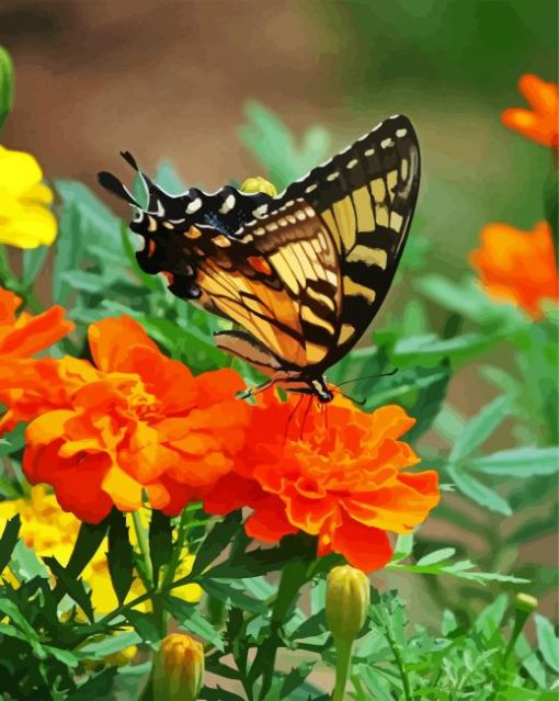 Swallowtail on Marigolds paint by numbers