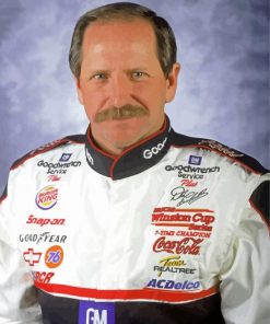 The American Race Driver Dale Earnhardt paint by numbers