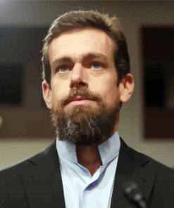 Twitter Co Founder Dorsey paint by numbers