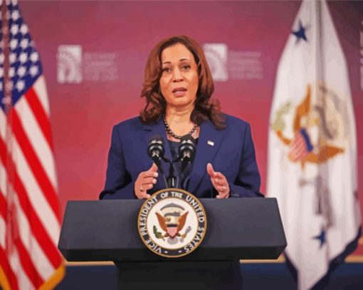 Us Vice President Kamala Harris paint by numbers