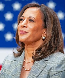 Us Vice President Kamala paint by numbers