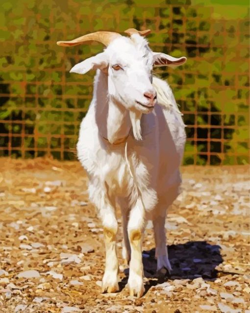 White Goat paint by numbers