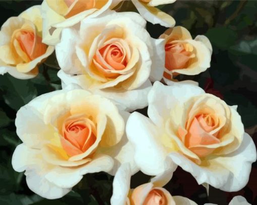 White and Orange Floribunda Flowers paint by numbers