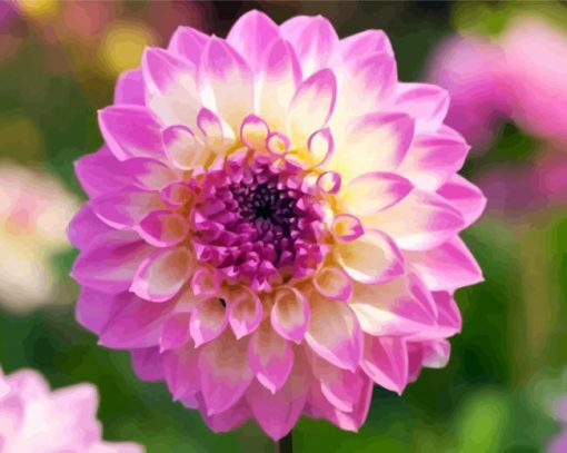 Yellow Purple Dahlia paint by numbers