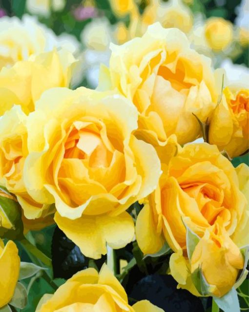 Yellow Floribunda Flowers paint by numbers