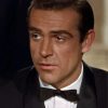 Young Sean Connery Actor Paint By Number