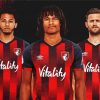 AFC Bournemouth Footballers paint by numbers