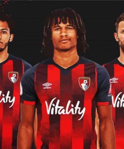 AFC Bournemouth Footballers paint by numbers