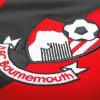 AFC Bournemouth Logo paint by numbers