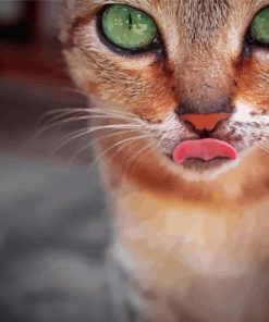 Abyssinian Cat paint by numbers