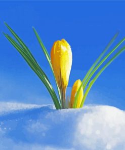 Adorable Spring Flower in Snow paint by numbers