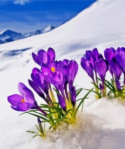 Aesthetic Spring Flower in Snow paint by numbers