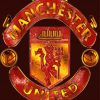 Aesthetic Manchester United Logo paint by numbers